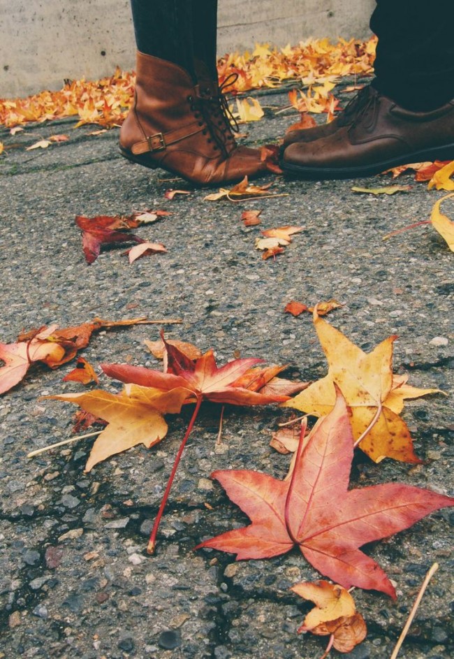 Let's celebrate autumn！在美好的季節裡，享受這12個秋日生活提案 1