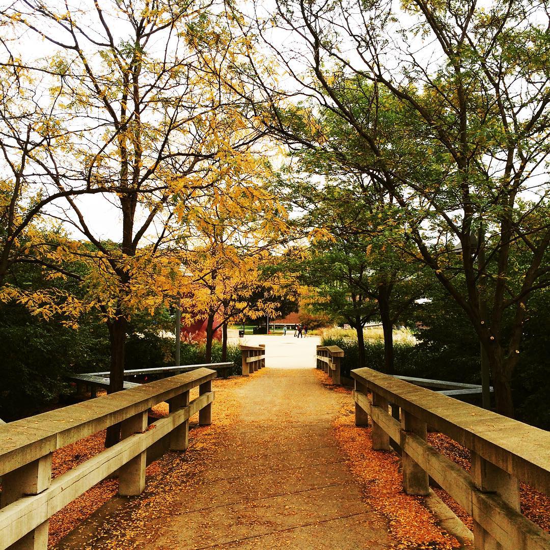 13 Gorgeous Fall Instagrams Every Girl Takes 6