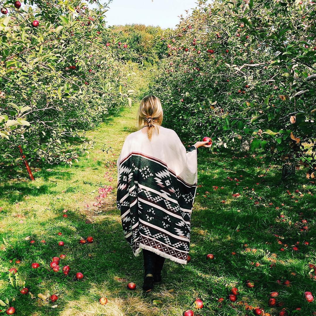 13 Gorgeous Fall Instagrams Every Girl Takes 10