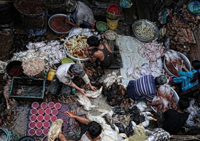 Asia Pacific Winner: "Poultry Prepared for Market" by Peter Graney – Cambodia