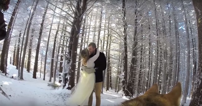 Couple Lets Their Dog Shoot Beautiful, Snowy Wedding Video 1