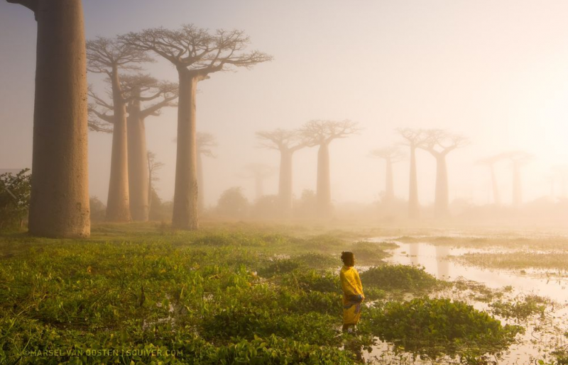 世界上還有許多美麗值得發現：National Geographic 評選 2015 年世界奇景 4