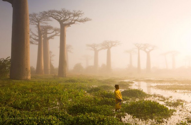 National Geographic 2015 年最棒的 20 張影像 12