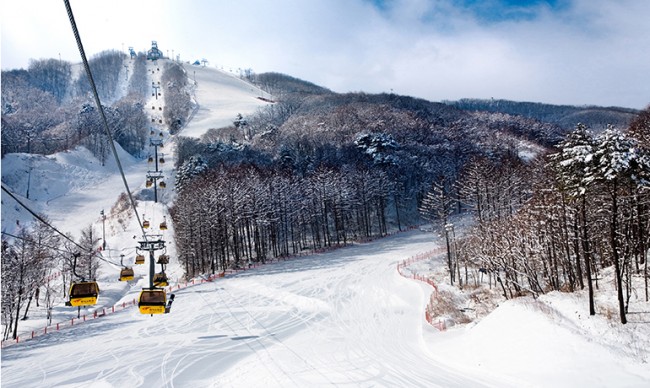 ski field korea winter top 6