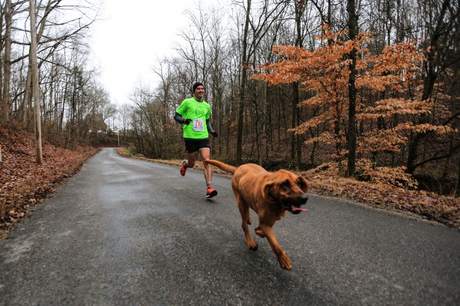 Keep Running：這是一隻來自美國的獵犬主動加入「馬拉松賽跑」的冒險故事！ 5