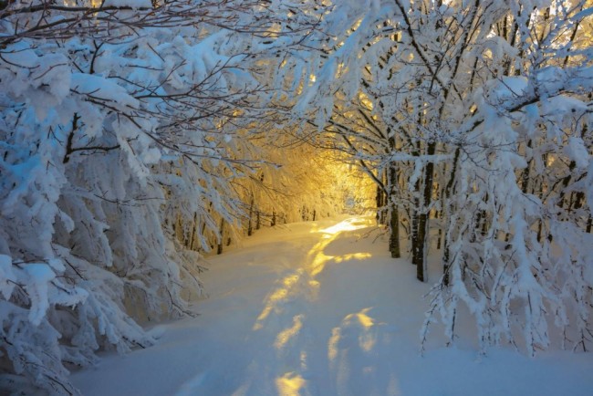 Winter Peace：20 個來自世界各地讓人心靈平靜的美好冬日景像 10