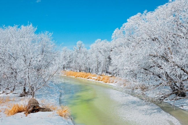 Winter Peace：20 個來自世界各地讓人心靈平靜的美好冬日景像 13