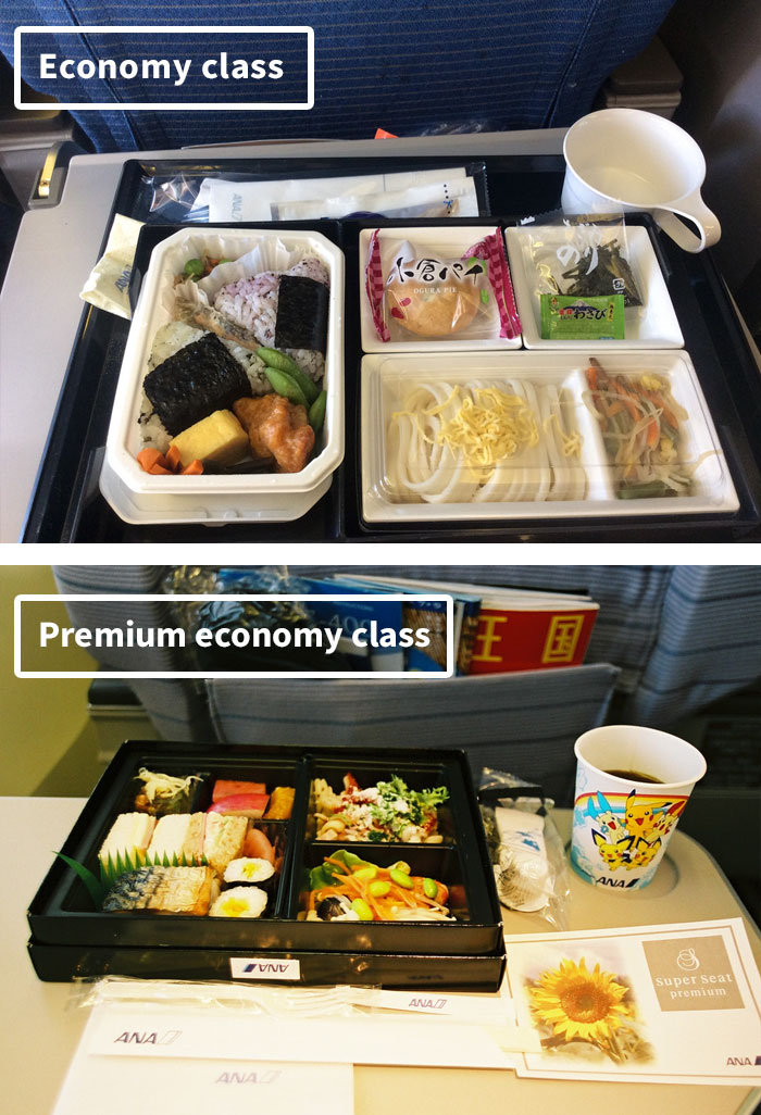 Airline Food: Economy Vs. First Class 9