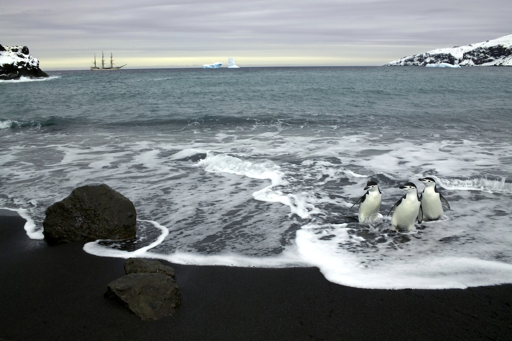 A Voyage To Antarctica By René Koster 5