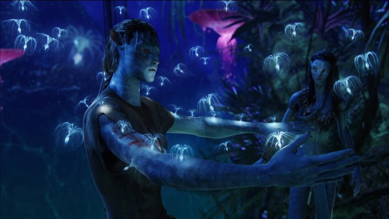 「美好的作品值得等待。」2018 年《Avatar 2》納美人磅礡回歸！ 3