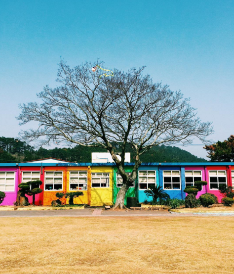 IG熱門打卡景點：位於濟州島的夢幻彩虹小學 3