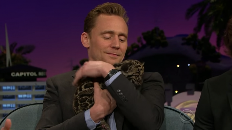 令全球粉絲融化的瞬間：當 Tom Hiddleston 抱起可愛的小花豹時... 5