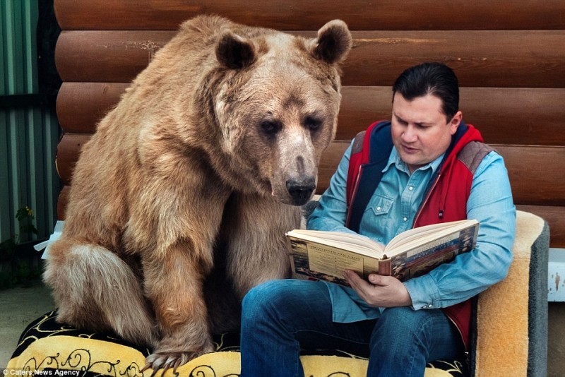 adopted-bear-russian-family-stepan 3