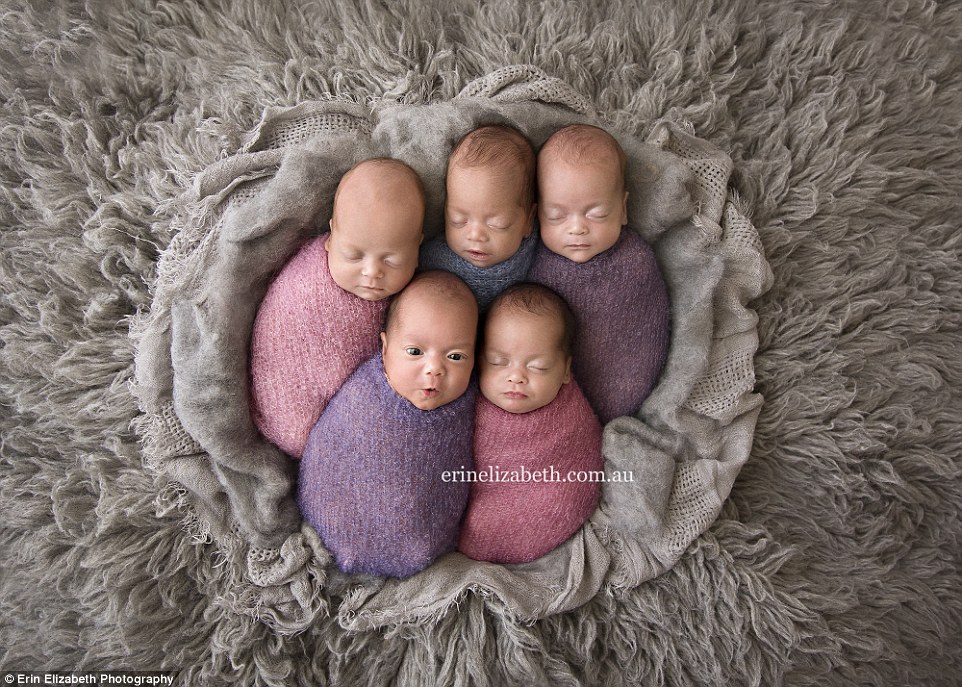 five-precious-babies 2