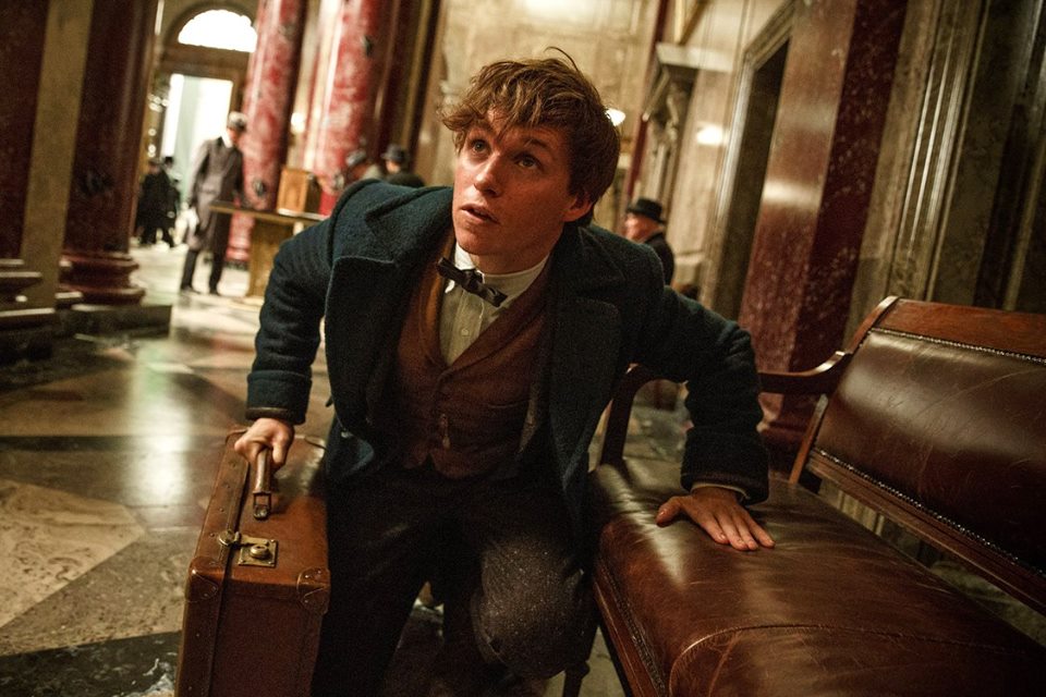 Get Your First Look at More Magical Creatures in Latest Fantastic Beasts and Where To Find Them Trailer 3