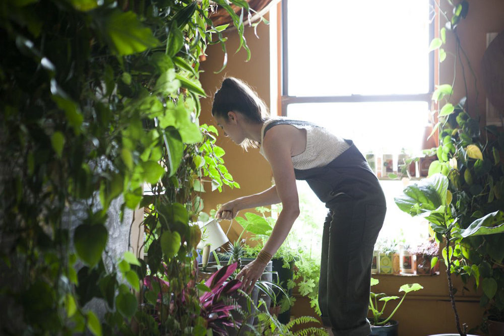 Summer Rayne Oakes, The Woman Who Keeps 500 Plants in Her Brooklyn Apartment 1