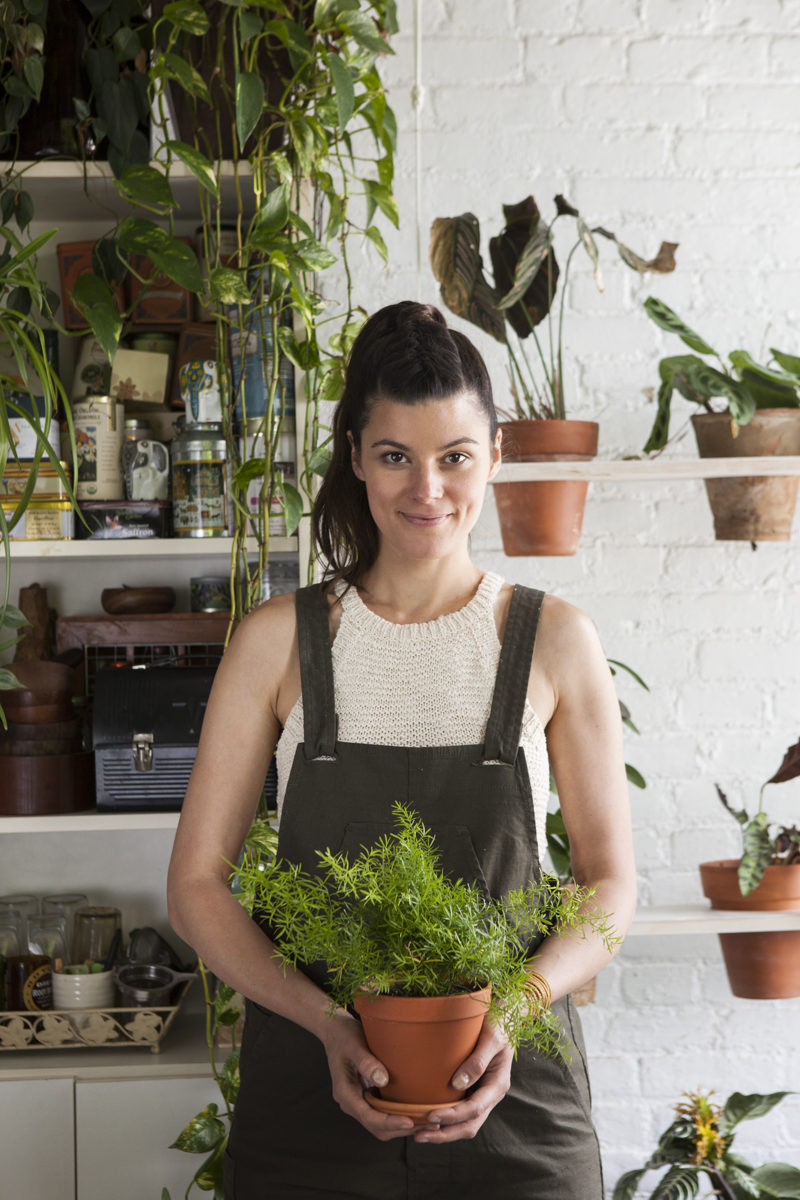 Summer Rayne Oakes, The Woman Who Keeps 500 Plants in Her Brooklyn Apartment 11