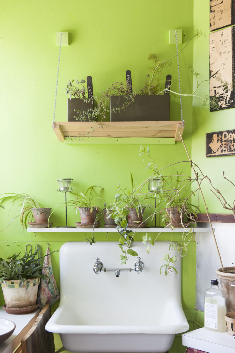 Summer Rayne Oakes, The Woman Who Keeps 500 Plants in Her Brooklyn Apartment 13