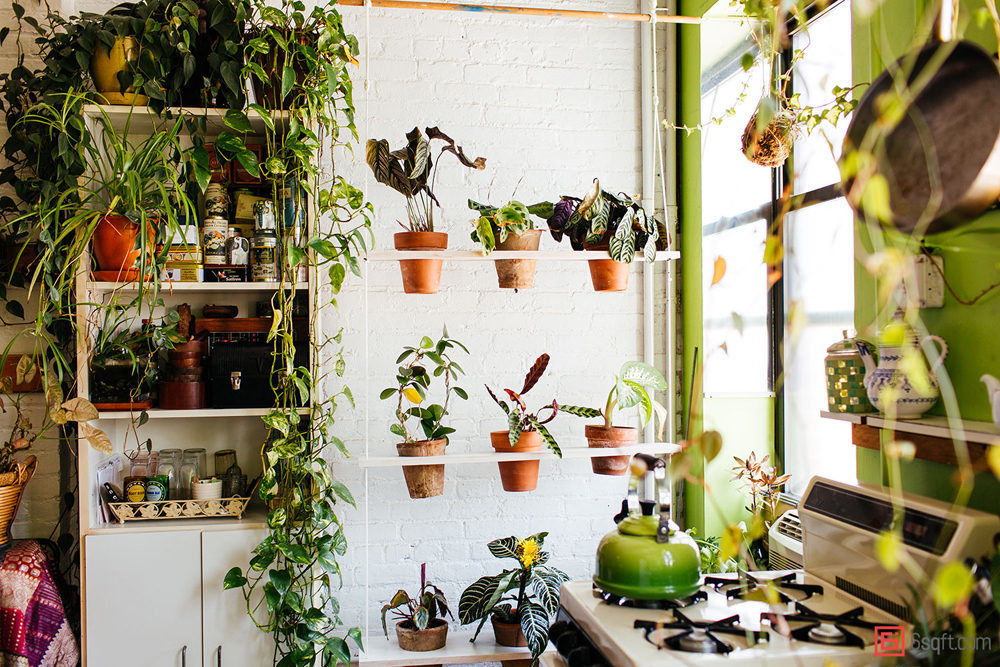 Summer Rayne Oakes, The Woman Who Keeps 500 Plants in Her Brooklyn Apartment 18