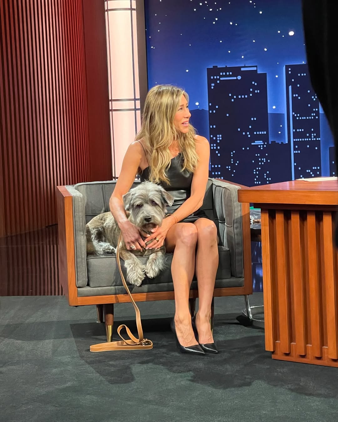 图片[7] - Jennifer Aniston 曾饱受不孕所苦，现在狗狗就犹如她的孩子！接受不圆满，就是人生最好的状态！ - 我的世界基岩版中文站 - 我的世界基岩版中文站
