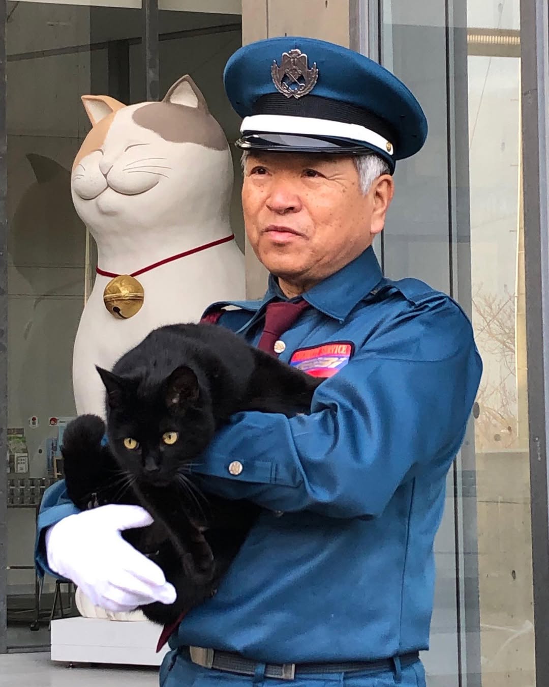 图片[7] - 日本尾道市立美术馆一场持续8年的“警卫与黑猫攻防战”！这段令人动容的故事，最终随着小黑猫安详地走完了自己的一生而结束！ - 奇趣星球报 - 奇趣星球报