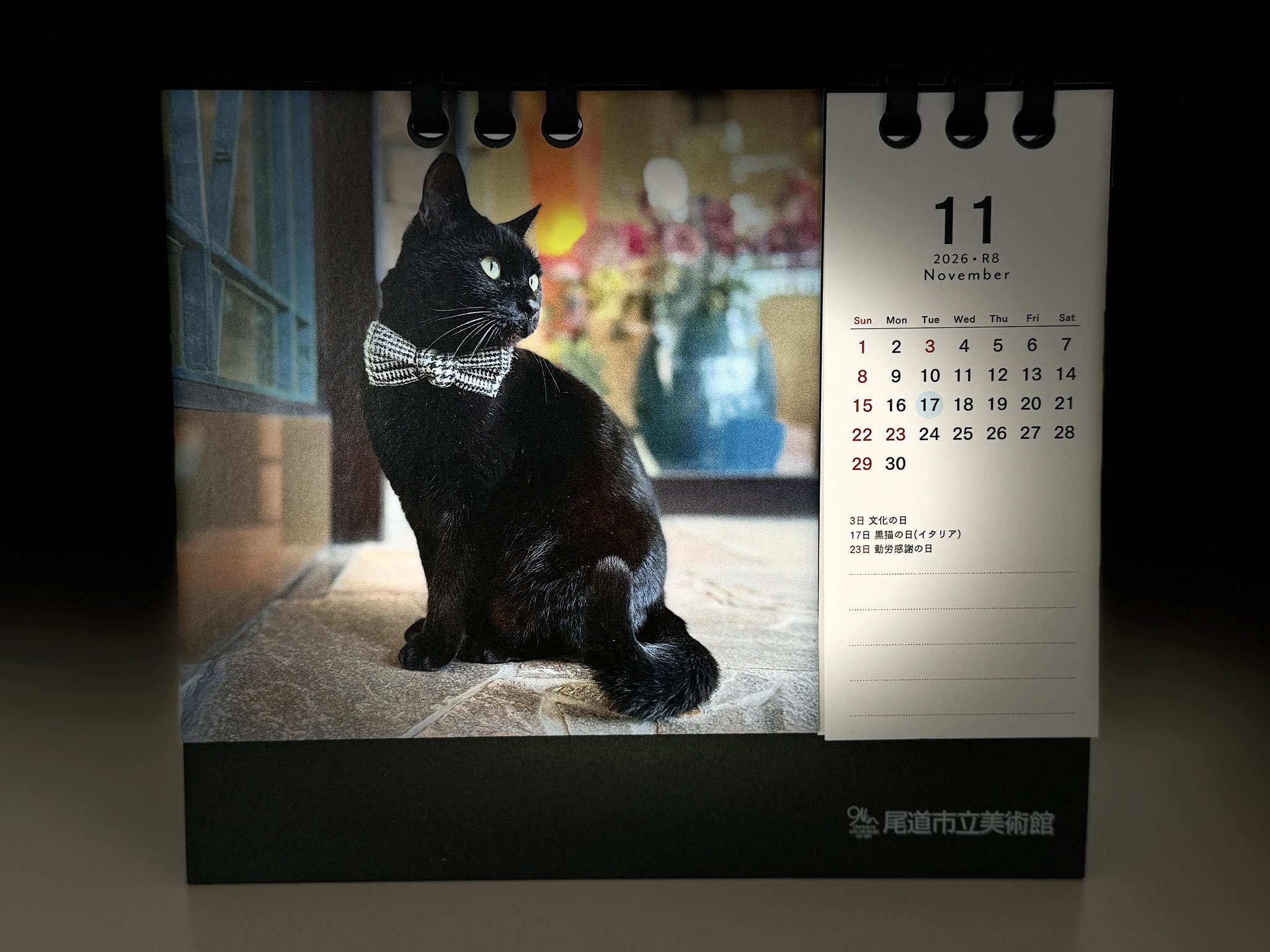 图片[17] - 日本尾道市立美术馆一场持续8年的“警卫与黑猫攻防战”！这段令人动容的故事，最终随着小黑猫安详地走完了自己的一生而结束！ - 奇趣星球报 - 奇趣星球报