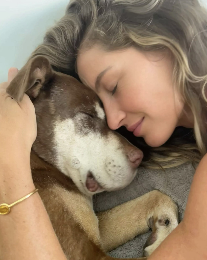 Tom Brady 的现任狗，竟然是上一只死去爱犬的「复制狗」！简直是科幻片情节！ - 我的世界基岩版中文站