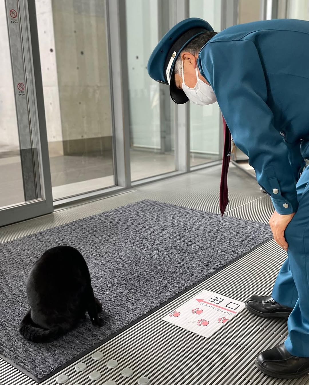 图片[9] - 日本尾道市立美术馆一场持续8年的“警卫与黑猫攻防战”！这段令人动容的故事，最终随着小黑猫安详地走完了自己的一生而结束！ - 奇趣星球报 - 奇趣星球报