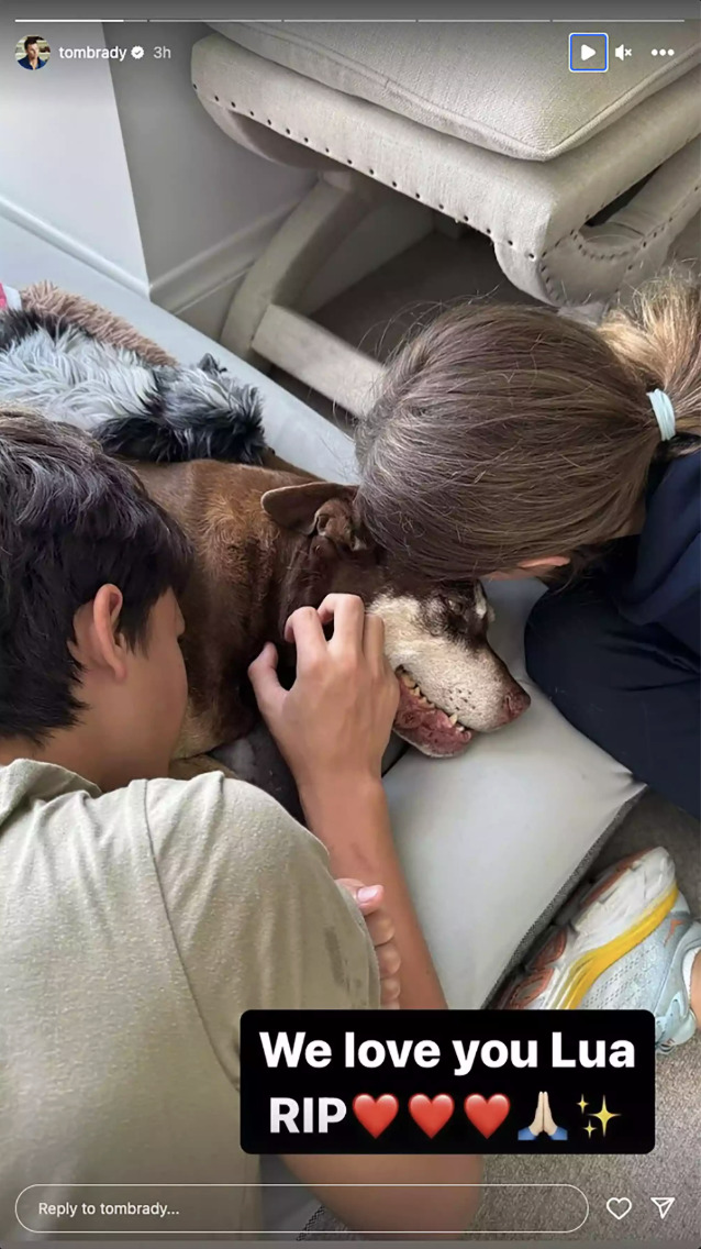 图片[2] - Tom Brady 的现任狗，竟然是上一只死去爱犬的「复制狗」！简直是科幻片情节！ - 我的世界基岩版中文站 - 我的世界基岩版中文站