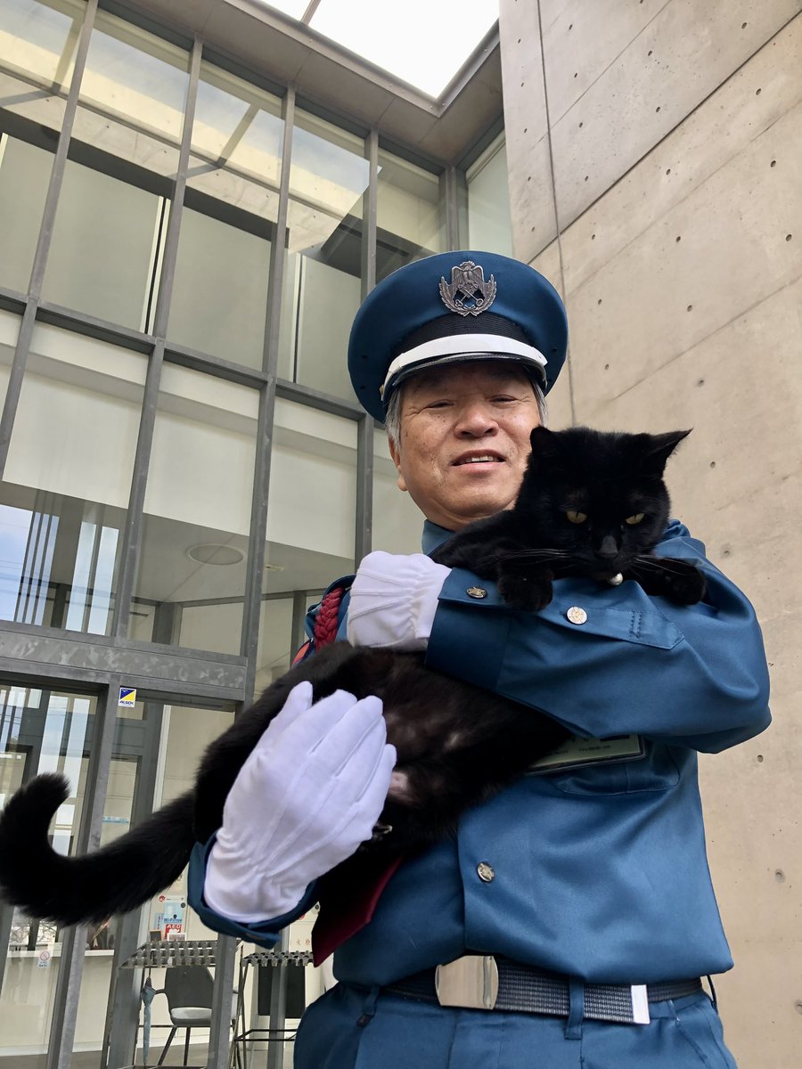 图片[18] - 日本尾道市立美术馆一场持续8年的“警卫与黑猫攻防战”！这段令人动容的故事，最终随着小黑猫安详地走完了自己的一生而结束！ - 奇趣星球报 - 奇趣星球报