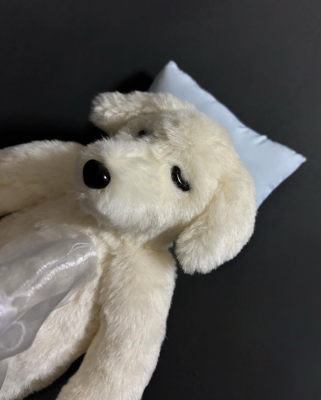 狗狗的身体是什么形状的- 抖音, image size:1080x1347